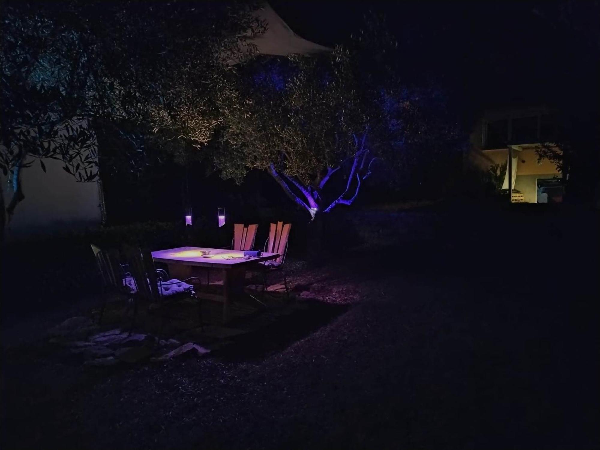 Oliver Art Apartment Poreč Zewnętrze zdjęcie